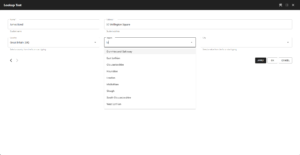 Form Builder – Dynamic lookups | WP Data Access