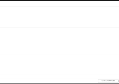 Column Filters In Popup Window